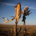 Making Renewable Energy Sources Reliable in Omaha, Nebraska